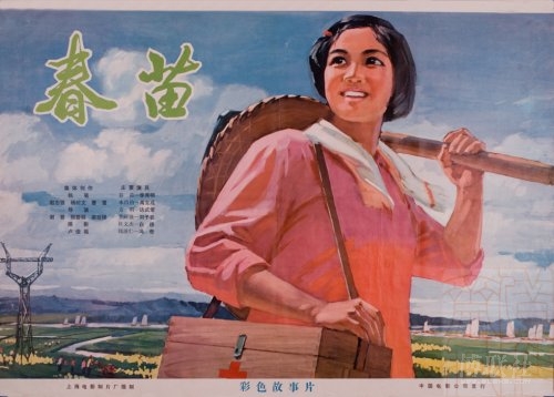 韦伯州立大学ID学生卡